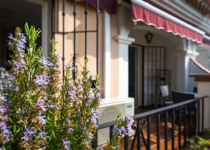 In Burriana, ネルハ